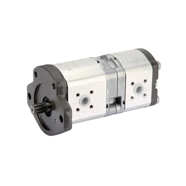 Gear pump AZPFF-11-019/008LFX2020KB-S0259   0510665432