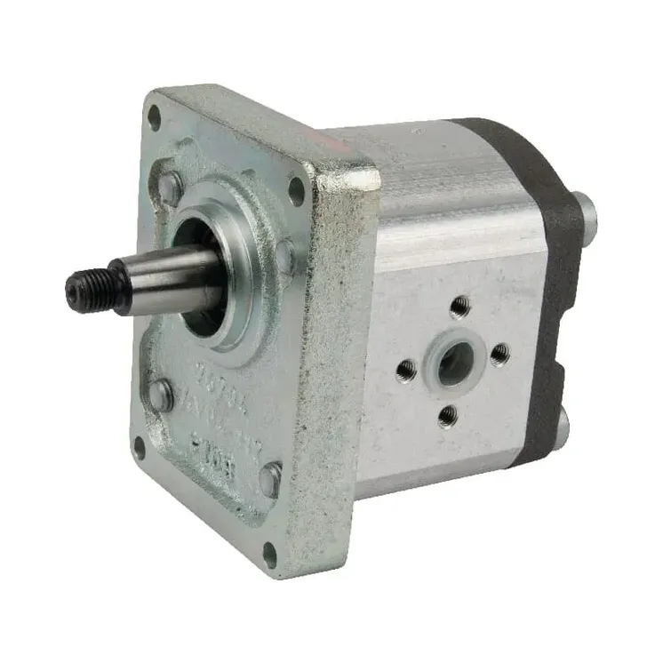 Gear pump AZPF-11-011RHO30PB-S0285   0510525046