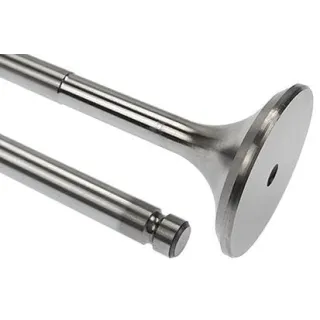 Exhaust valve VPA1024 Vapormatic Massey Ferguson: V836646357
Valtra Valmet: 836646357