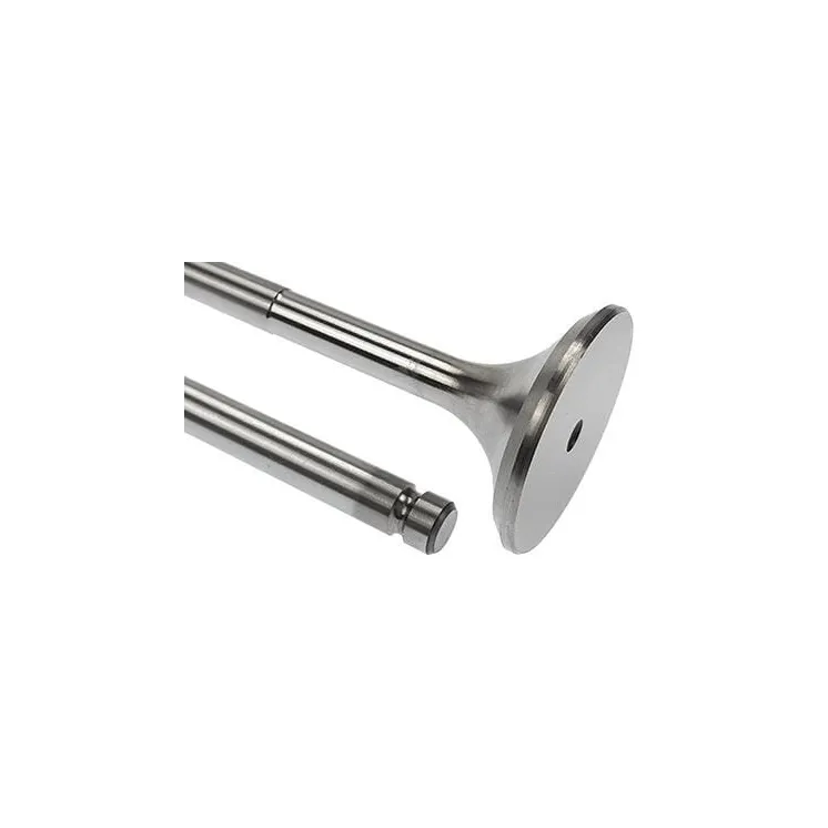 Exhaust valve VPA1024 Vapormatic Massey Ferguson: V836646357
Valtra Valmet: 836646357