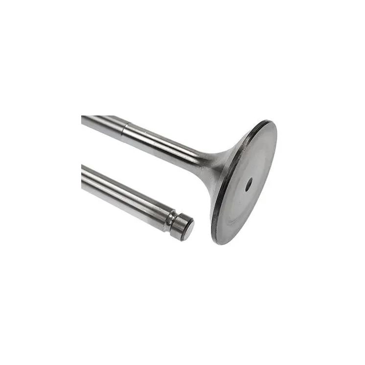 Ieplūdes vārsts VPA1025 Vapormatic Massey Ferguson: V836646356
Sisu Diesel: V836646356
Valtra Valmet: 836646356