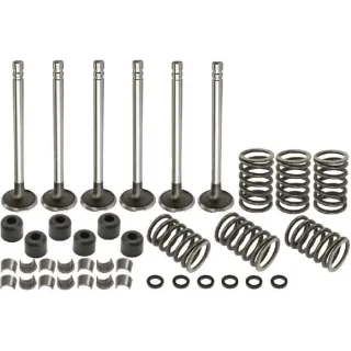 Valve kit VPA6021 Vapormatic Ford Finis: 81804307
Ford Finis: 81804329
Ford Finis: 81804330
Ford Finis: 81818709
Ford Finis: