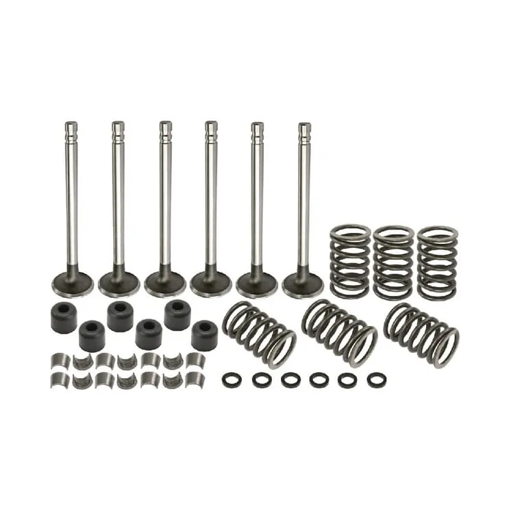Valve kit VPA6021 Vapormatic Ford Finis: 81804307
Ford Finis: 81804329
Ford Finis: 81804330
Ford Finis: 81818709
Ford Finis: