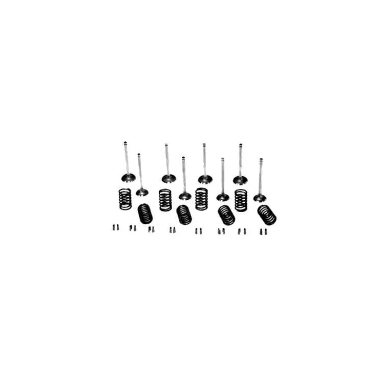 Valve kit VPA6032 Vapormatic A & I: A-VPA6032
Case International: K921435
Case International: K921436
Case International: K92