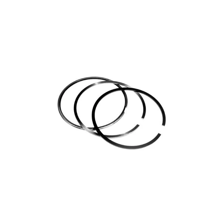 Piston ring set VPB4260 Vapormatic A & I: A-6005010305
Fendt: F199204310020
Renault: 7701032469
Fendt: F285200310100
Fendt: 