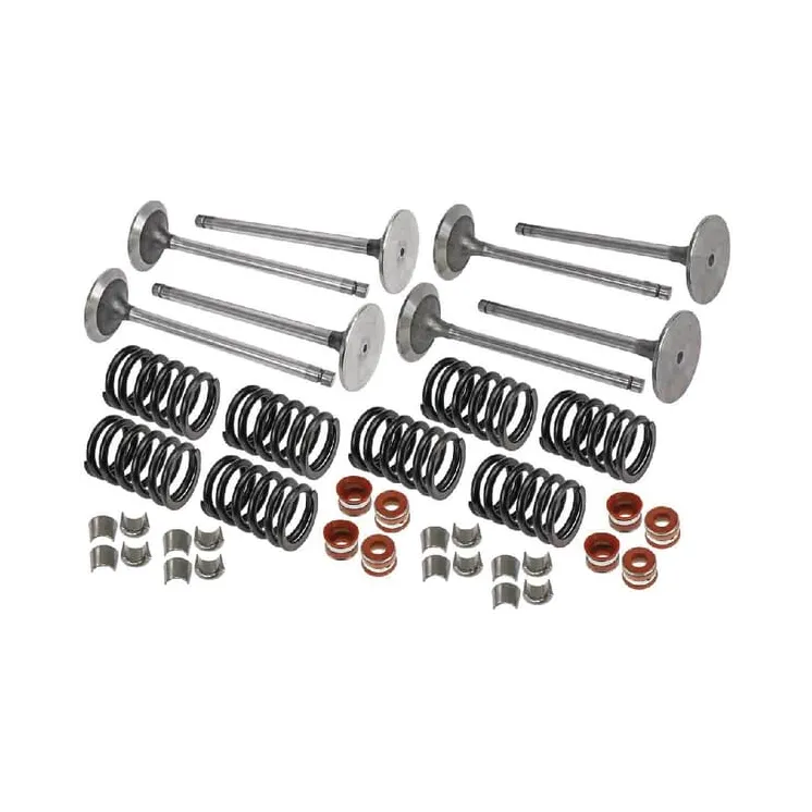Valve kit VPA6019 Vapormatic
