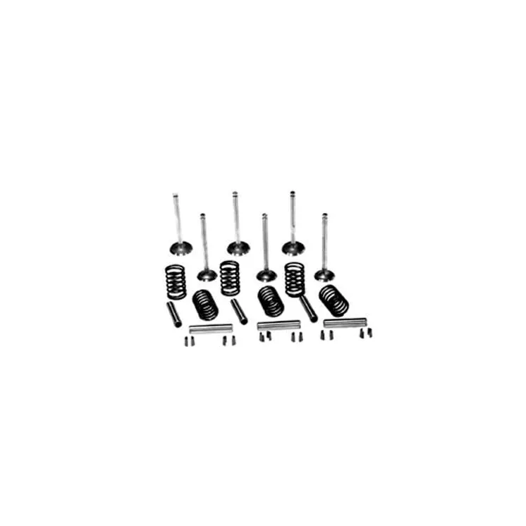 Valve kit VPA6002 Vapormatic Ford Finis: 81717764
Ford Finis: 81717767
Ford Finis: 81745445
Ford Finis: 81804289
Ford Finis: