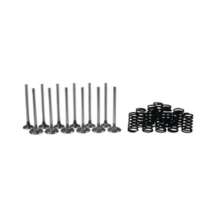 Valve kit VPA6029 Vapormatic Ford Finis: 81804307
Ford Finis: 81804329
Ford Finis: 81804330
Ford Finis: 81823823
Ford Finis: