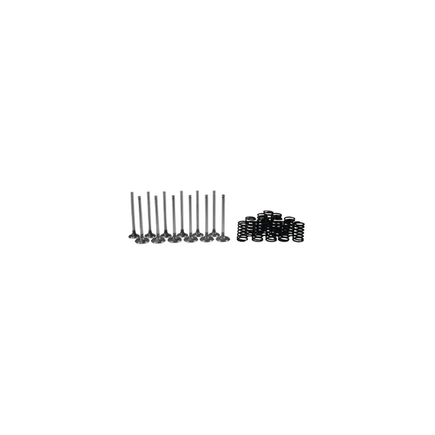 Valve kit VPA6029 Vapormatic Ford Finis: 81804307
Ford Finis: 81804329
Ford Finis: 81804330
Ford Finis: 81823823
Ford Finis: