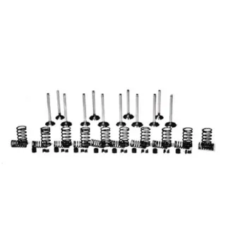 Valve kit VPA6015 Vapormatic Massey Ferguson: 3637041M1
Massey Ferguson: 4223073M1
Massey Ferguson: 4223074M1
Massey Ferguson