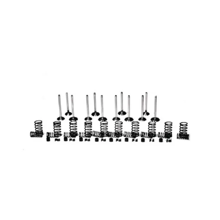 Valve kit VPA6015 Vapormatic Massey Ferguson: 3637041M1
Massey Ferguson: 4223073M1
Massey Ferguson: 4223074M1
Massey Ferguson