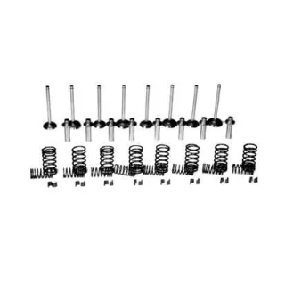 Valve kit VPA6007 Vapormatic A & I: A-VTK408
Massey Ferguson: 735521M1
Massey Ferguson: 735525M1
Massey Ferguson: 736453M1
M