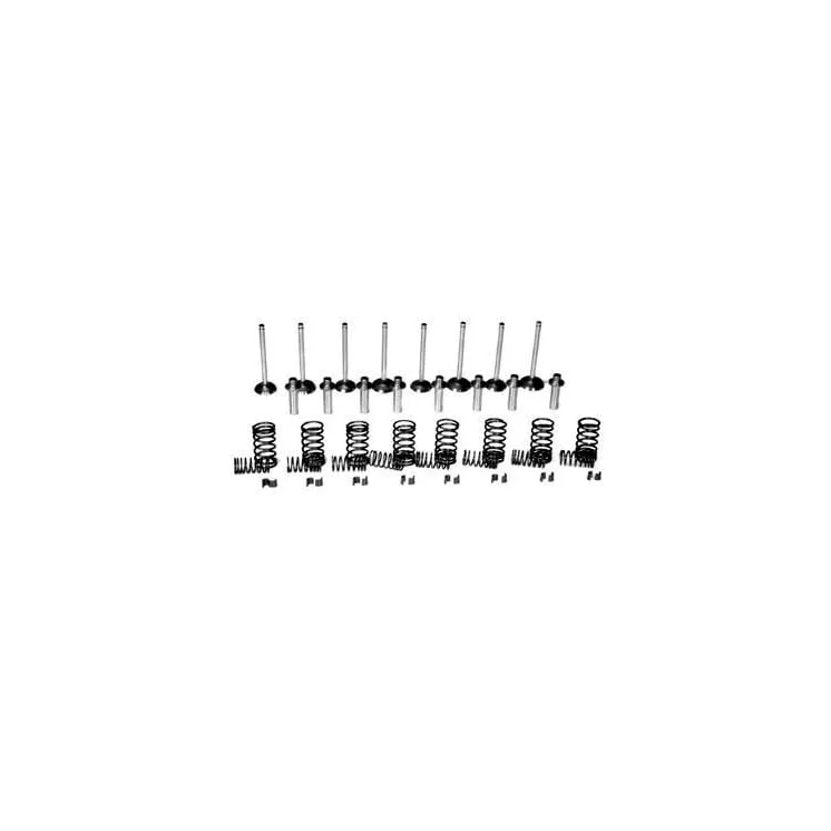Valve kit VPA6007 Vapormatic A & I: A-VTK408
Massey Ferguson: 735521M1
Massey Ferguson: 735525M1
Massey Ferguson: 736453M1
M