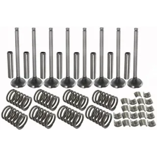 Valve kit VPA6013 Vapormatic A & I: A-VTK405
Massey Ferguson: 731154M1
Massey Ferguson: 731155M1
Massey Ferguson: 732445M1
M