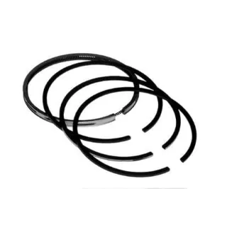 Piston ring set VPB4542 Vapormatic A & I: A-PR189-20
Ford Finis: 83917469
Ford New Holland: DJPN6149X
Ford Finis: 81814544
F