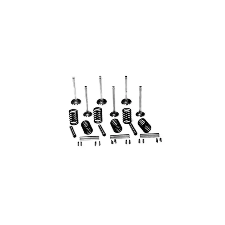 Vārstu komplekts VPA6003 Vapormatic A & I: A-VPA6003
Massey Ferguson: 731154M1
Massey Ferguson: 731155M1
Massey Ferguson: 732