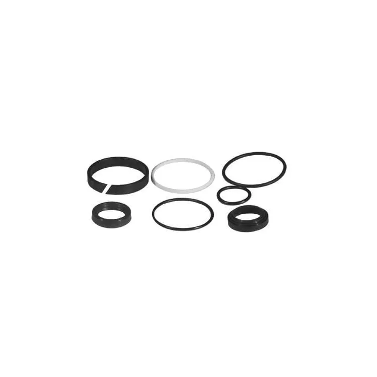 Steering ram seal kit VPJ4017 Vapormatic Massey Ferguson: 1749581M91