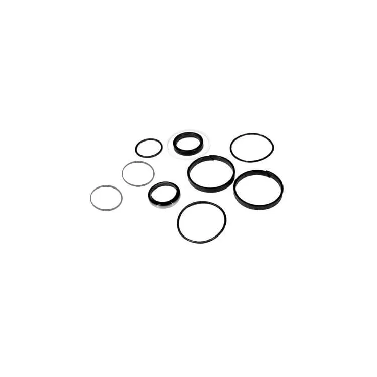 Ram seal kit VPK8213 Vapormatic Massey Ferguson: 1606532M94