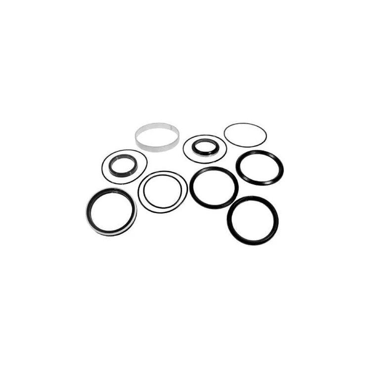 Ram seal kit VPK8217 Vapormatic Massey Ferguson: 1607427M91