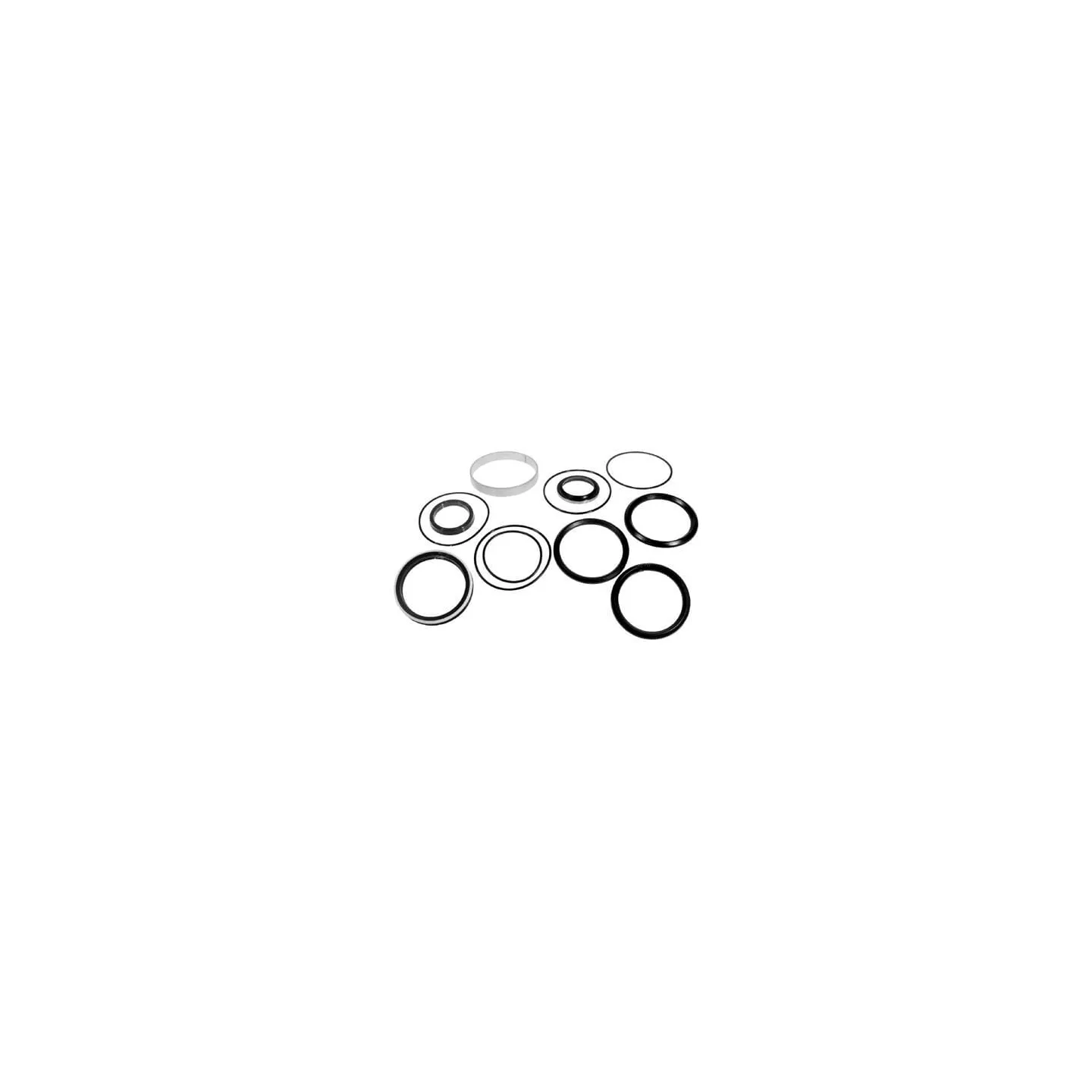 Ram seal kit VPK8217 Vapormatic Massey Ferguson: 1607427M91