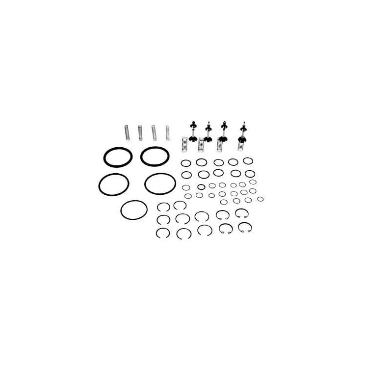 Hydraulic repair kit VPK2201 Vapormatic A & I: A-830997M1
Massey Ferguson: 830997M91