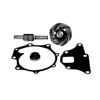 Ūdens sūkņa remonta komplekts VPE2009 Vapormatic Ford Finis: 83914014
Ford New Holland: DJPN8591A
Ford Finis: 81816107
Ford N