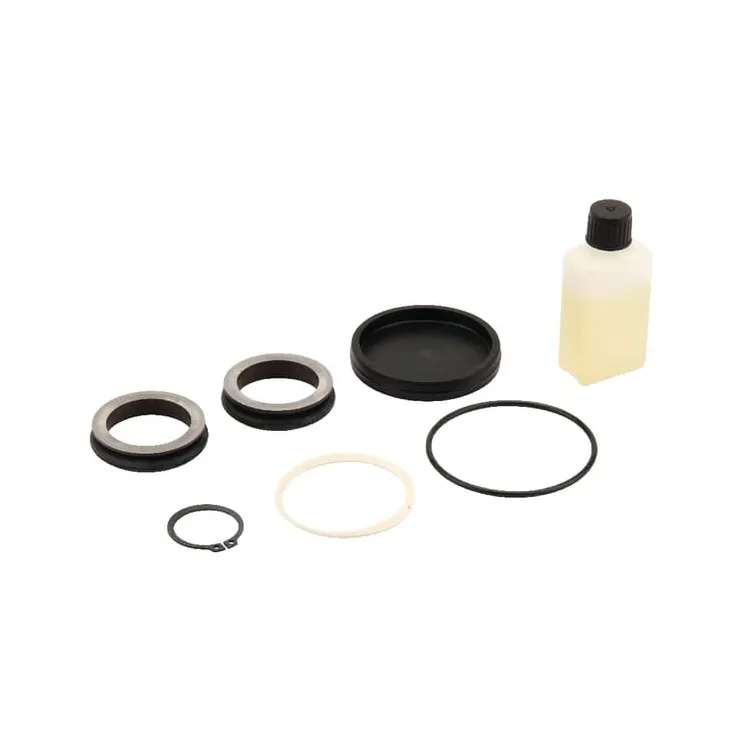 Gasket set 78250281 Amazone