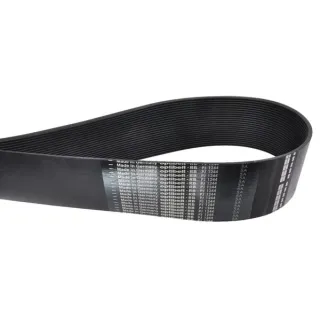 Ribbed Belt 24 PJx1244 EG009 Amazone