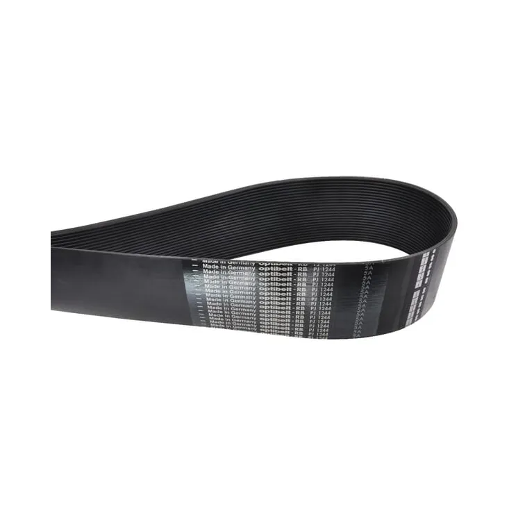 Ribbed Belt 24 PJx1244 EG009 Amazone