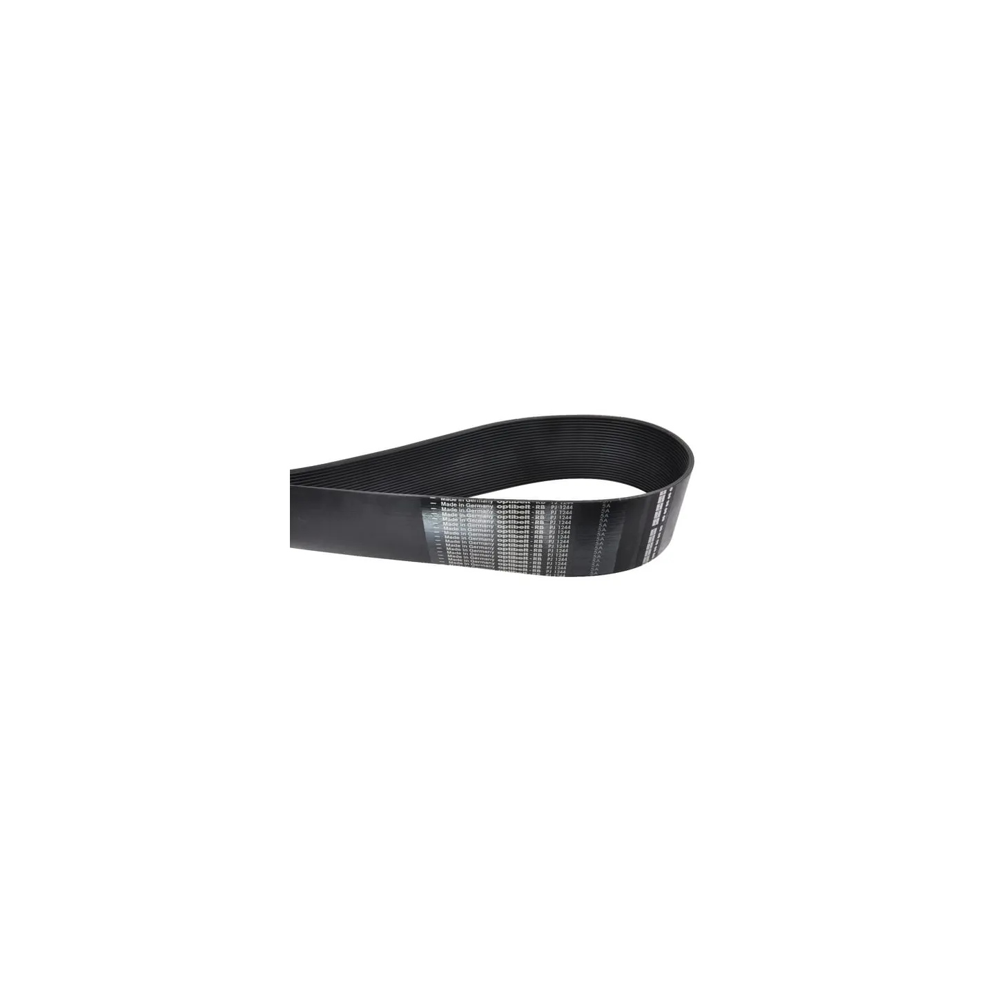 Ribbed Belt 24 PJx1244 EG009 Amazone