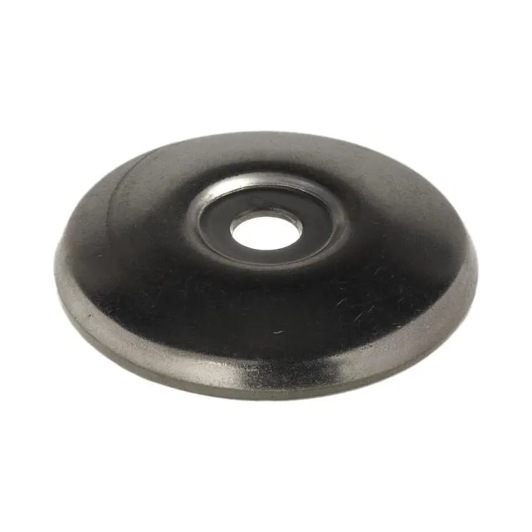 Plate DI=10 mm ZF1130 Amazone