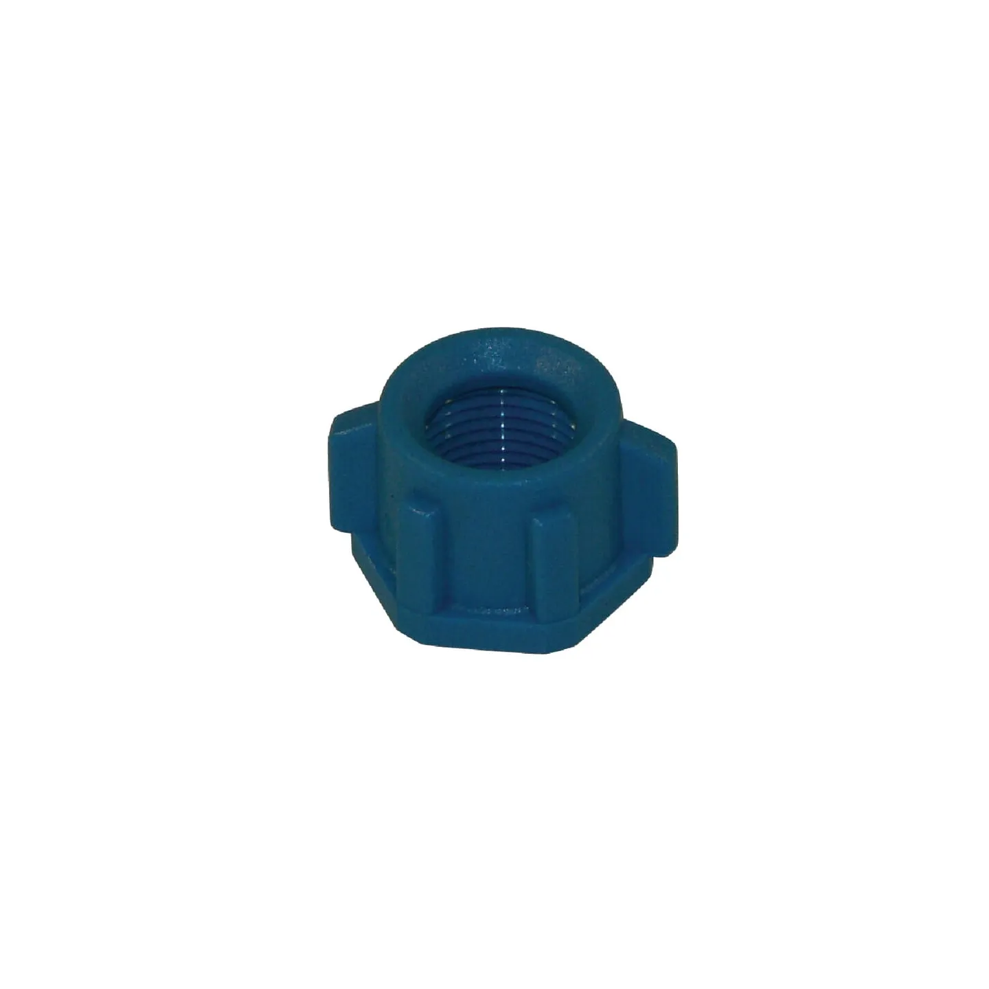 Nozzle cap, threaded, SW13, blue, 20001004 Arag