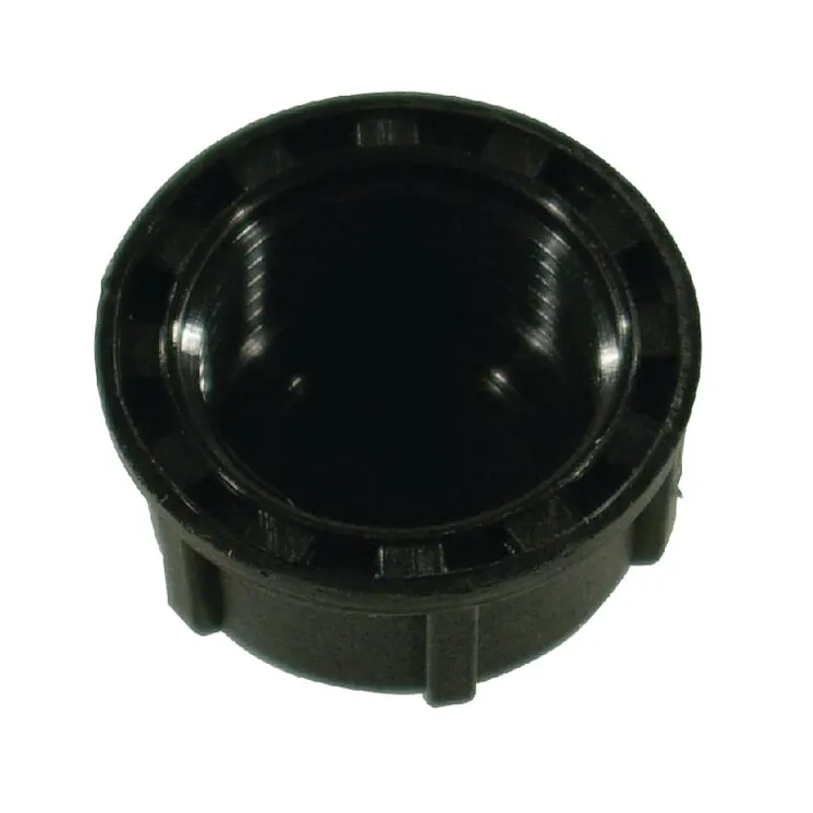 Blanking cap female 1/2 2102020 Arag 210020 65000829302224002