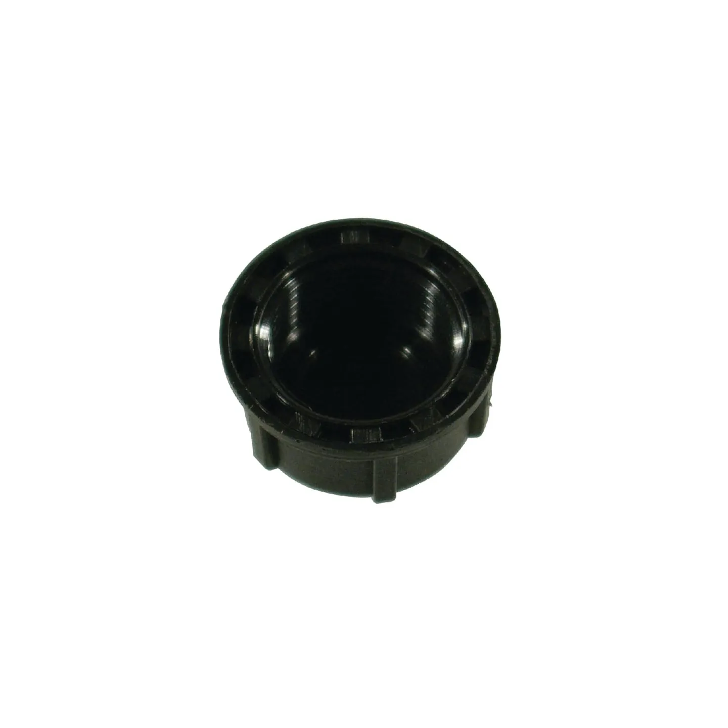 Blanking cap female 1/2 2102020 Arag 210020 65000829302224002