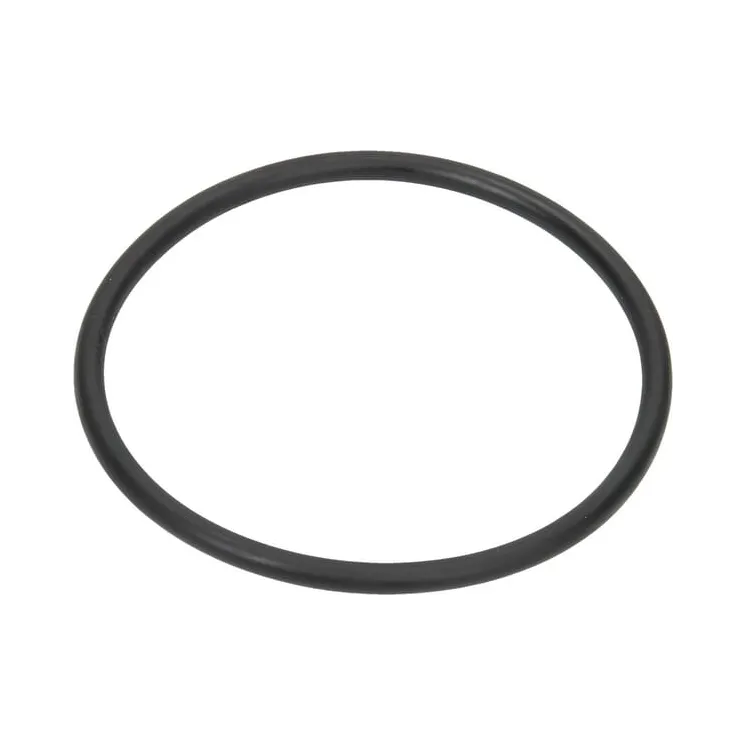 Blīvslēgs 91.44x5.34mm 70 shore EPDM melns 314000050 Arag