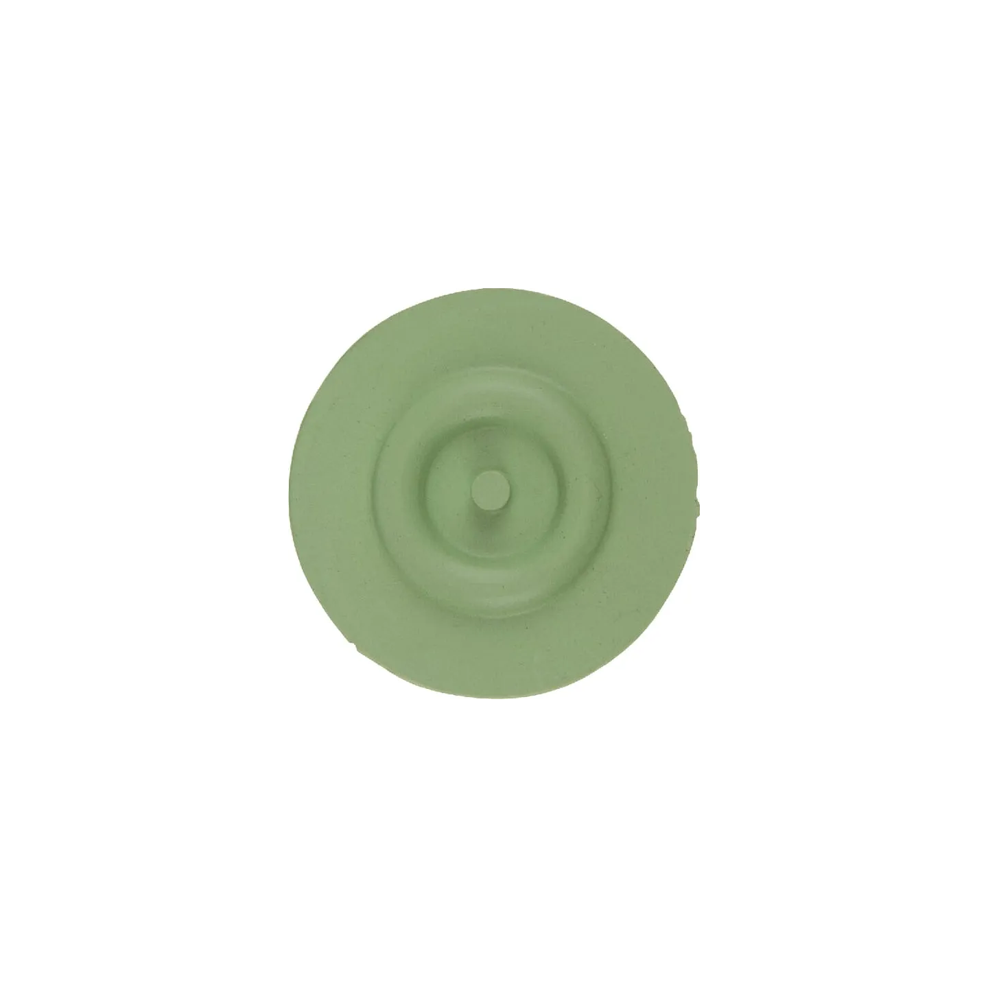 Membrane viton 4246000220V Arag