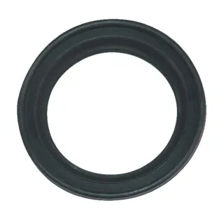 Seal for Gate Valve 450000070 Arag