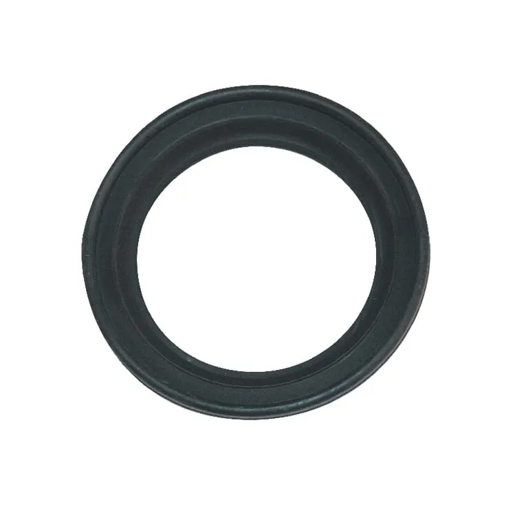 Seal for Gate Valve 450000070 Arag