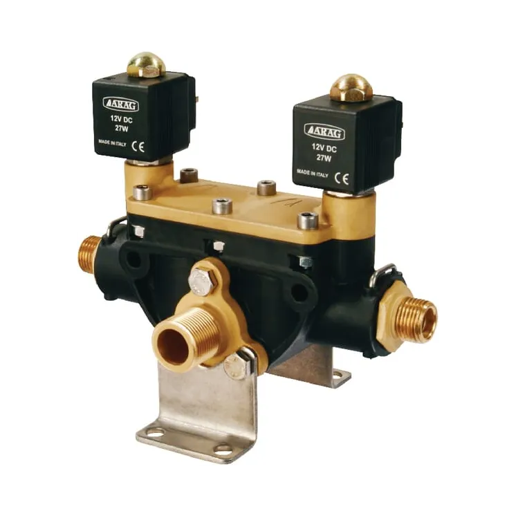 Electrovalve 481600002 Arag