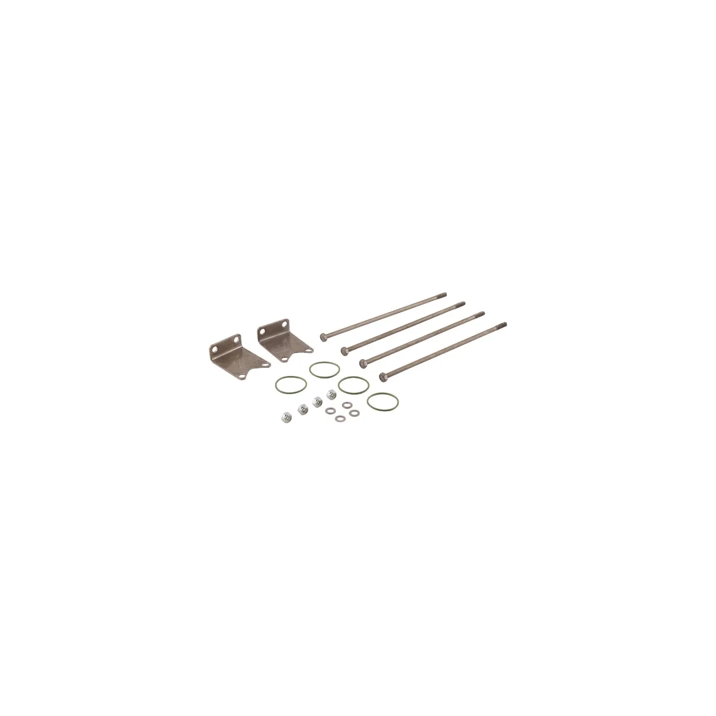 Fixing Kit for 4 valves 463 463900940 Arag