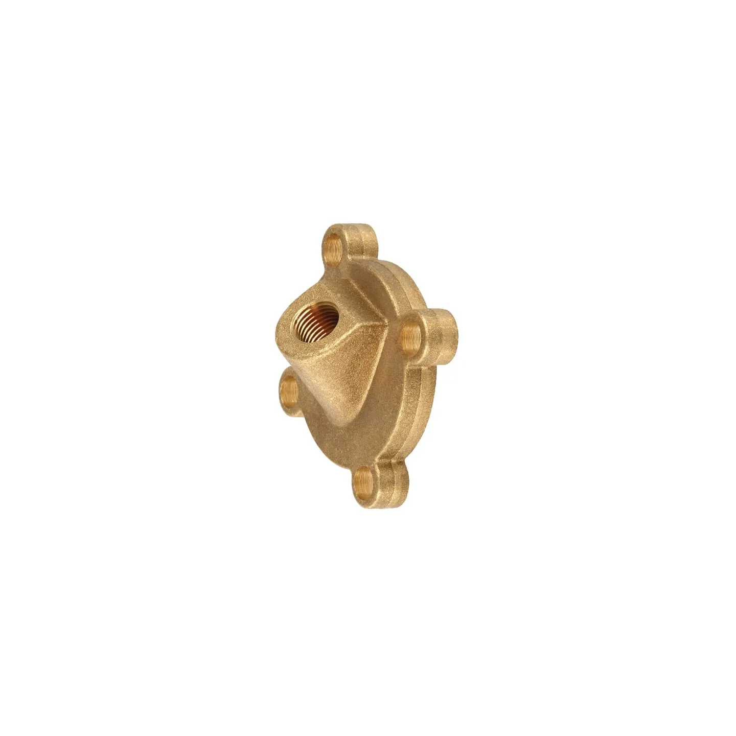 Spiediena mērītāja adapteris 1/4 BSP Misiņš 463011H130 Arag