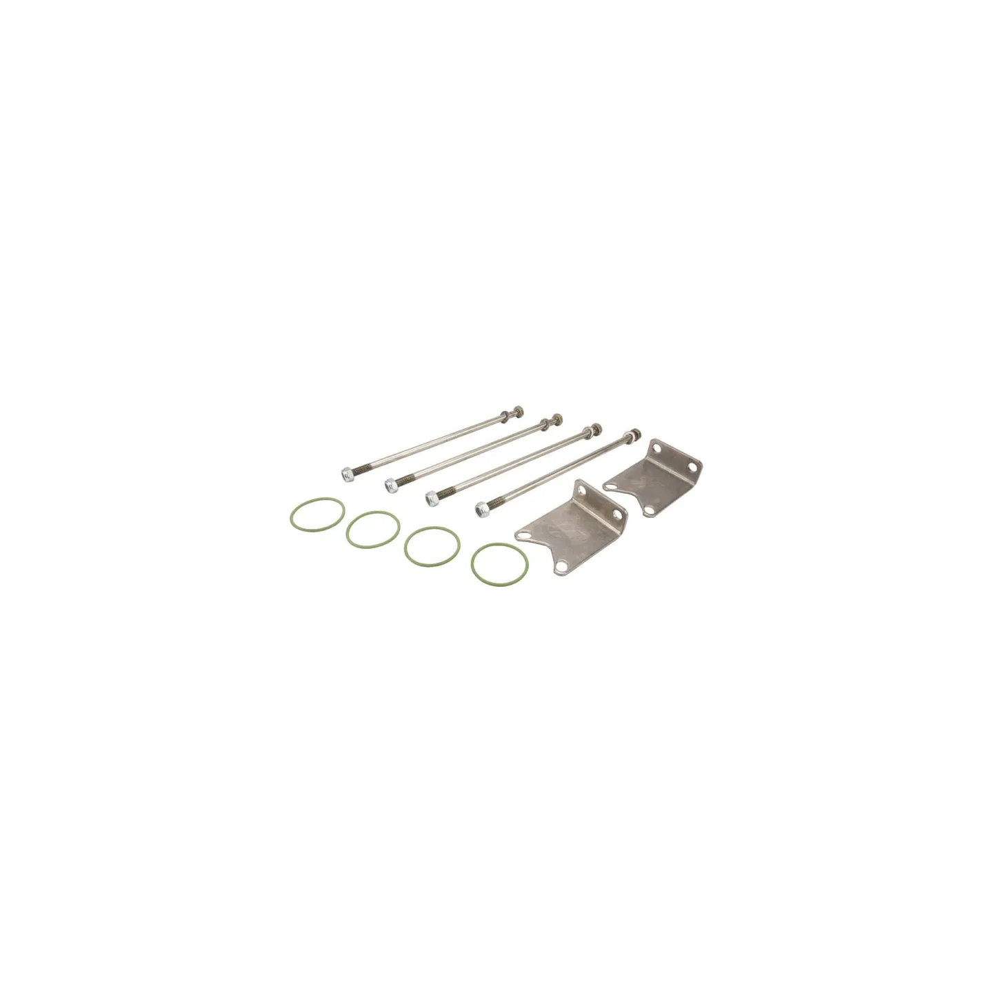 Fixing Kit for 3 valves 463 463900930 Arag