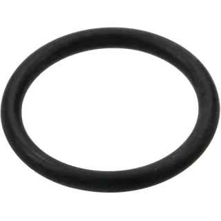 O-gredzens 22.22x2.62mm 70 shore EPDM balts 465005140 Arag