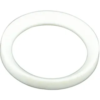 Sealing Disc 1-11/4 45300405070 Arag