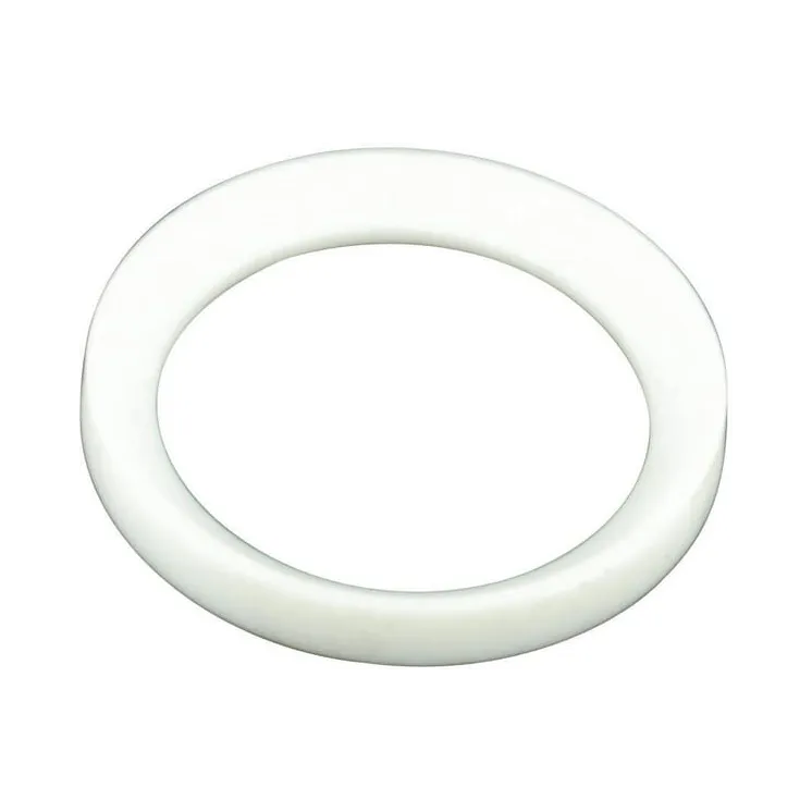 Sealing Disc 1-11/4 45300405070 Arag