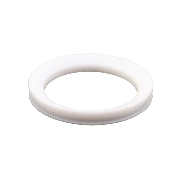 Sealing disc 45300505070 Arag