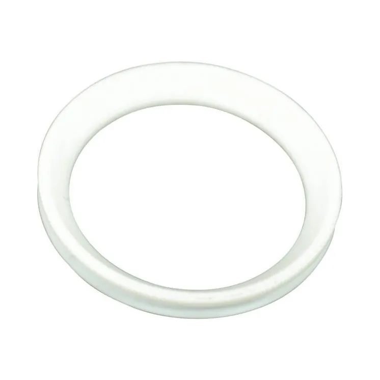 Sealing Disc 11/2 45300506070 Arag