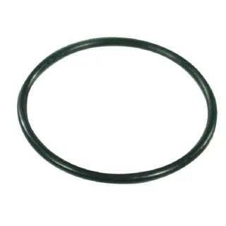 O-ring 39.34x2.62mm 70 shore EPDM black G10071 Arag