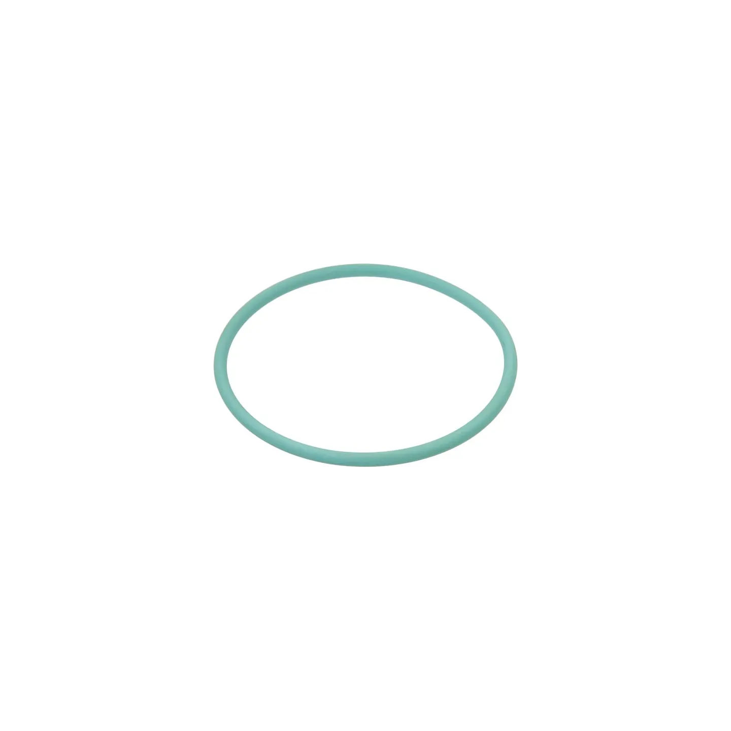O-ring 9.19x2.62mm 70 shore Viton green G11038V Arag