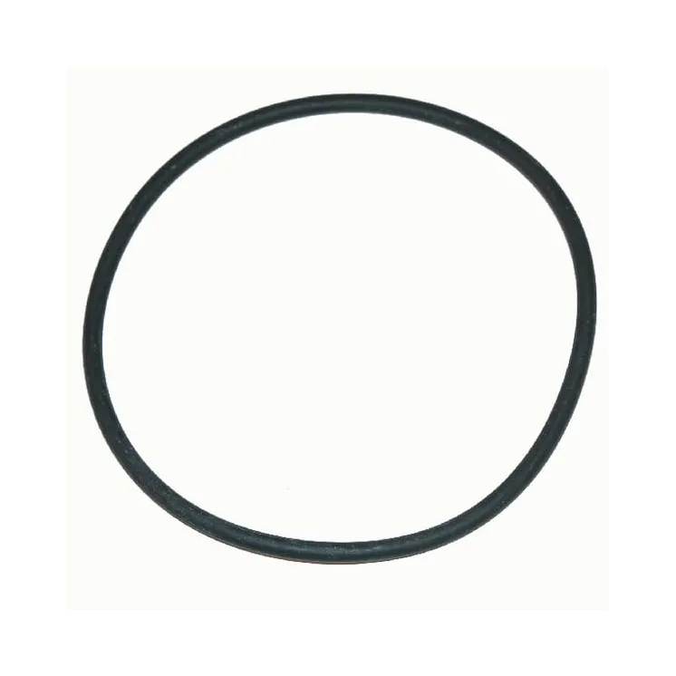 O-ring 85.32 x 3.53 EPDM G10092 Arag